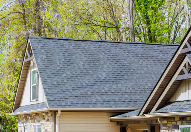 Roof Moss and Algae Removal in Ironton, OH